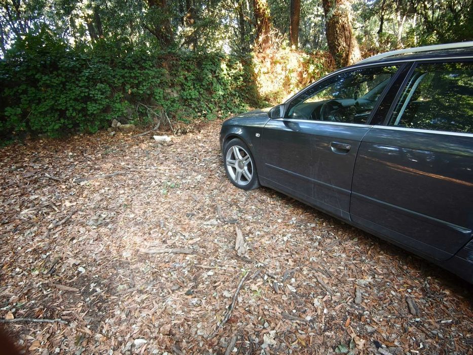 Carrinha Audi A4