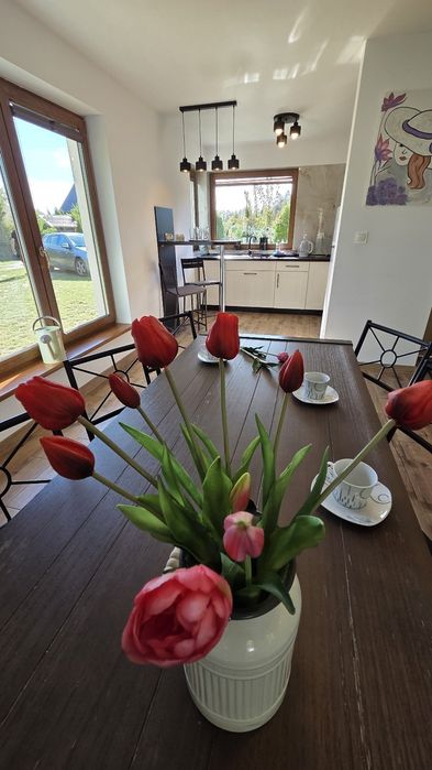 Domek z balią jacuzzi na wyłączność , jezioro, las. Kaszuby