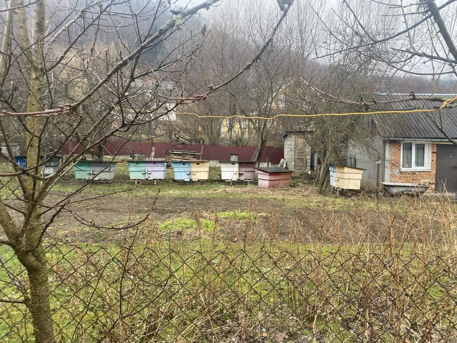 Вулики двох сімейні.