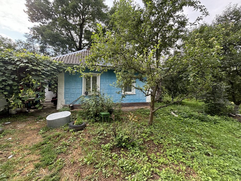 Продаж будинку в Лісових Гринівцях