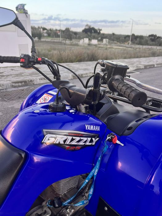 Yamaha yfm 125 (grizzly 125)