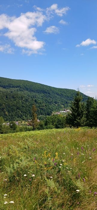 Земля під туристичний комплекс + проектна пропозиція
КОМПЛЕКСУ «ШЕШОР