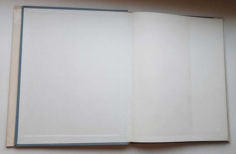 Книга Джотто ди Бондоне - итальянский художник и архитектор,
