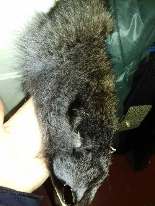 Пуховик женский в идеальном сосоянии.