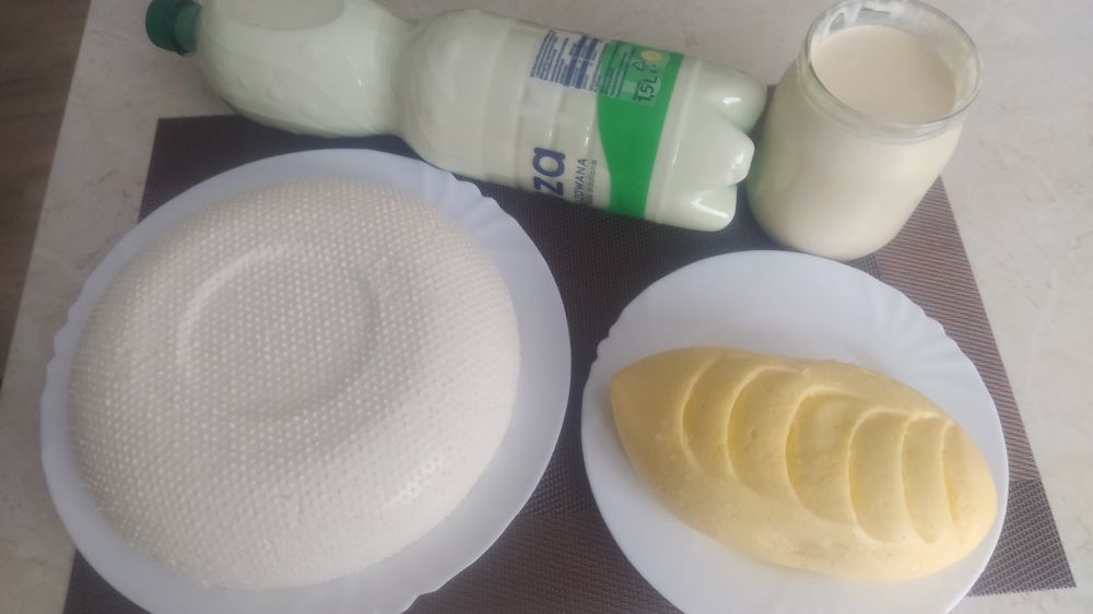 Mleko,ser,śmietana od  krowy, ziemniaki