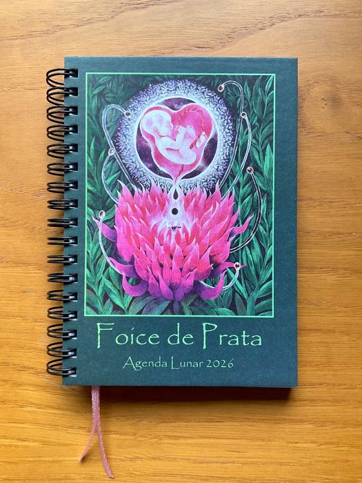 AGENDA LUNAR - última edição!