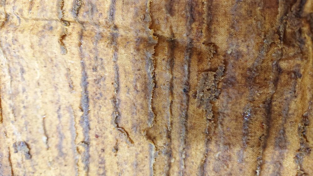 Прополисный холстик