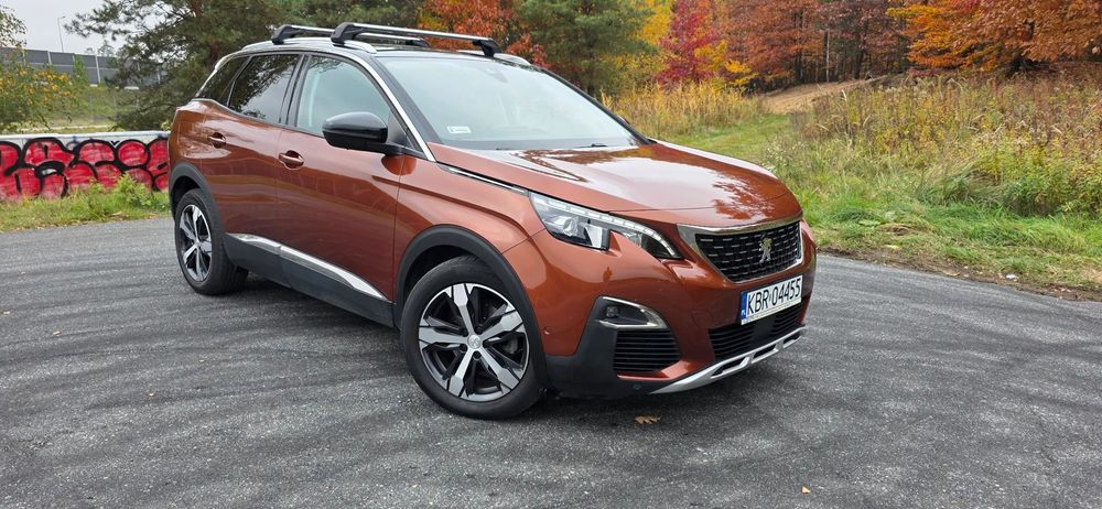 Peugeot 3008 Polski salon, pierwszy właściciel, niski przebieg, bezwypadkowy