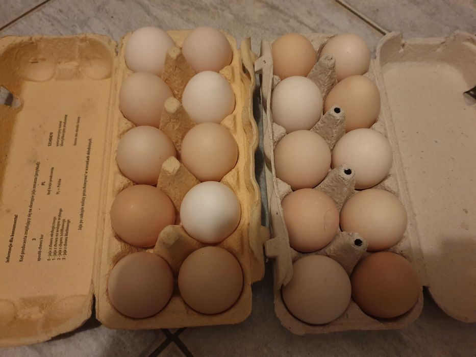 Jajka wiejskie sprzedam