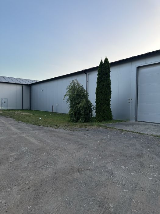 Hala Magazyn na wynajem