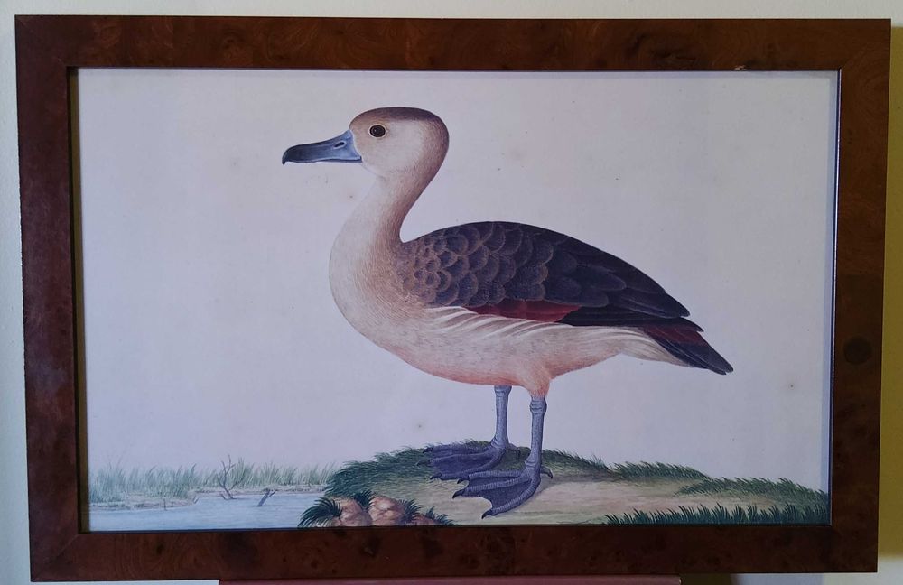 2 Paintings with Ducks