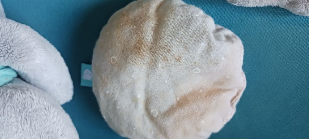 Miś szumiś plus termoforek