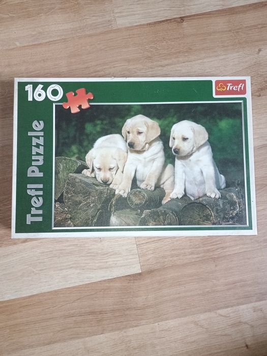 Zestaw puzzli i gier dla dzieci