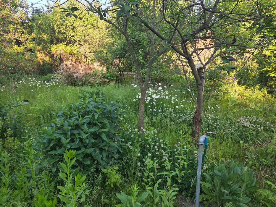 działka ROD warszawa - Widok 3