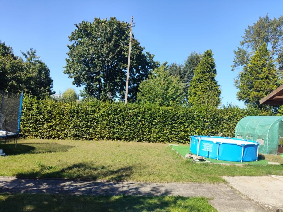 Zdjęcie 4