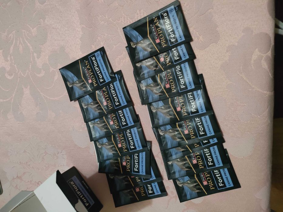 Suplementos probiótico cão