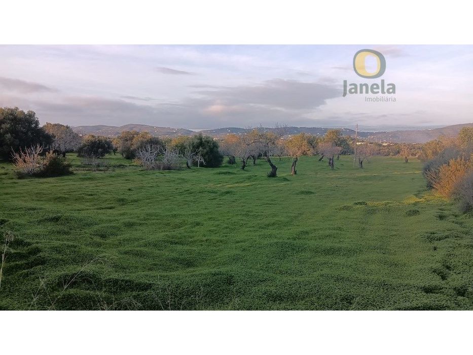 Terreno Venda Olhão