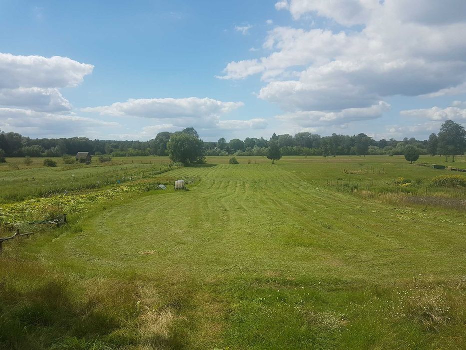 Sprzedam działkę rolną 4.800 m² z warunkami zabudowy w Mielniku w woj.podlaskim - Widok 5