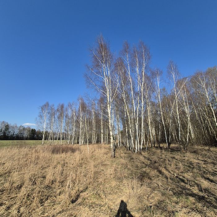 Działka  leśno rolna - Widok 3