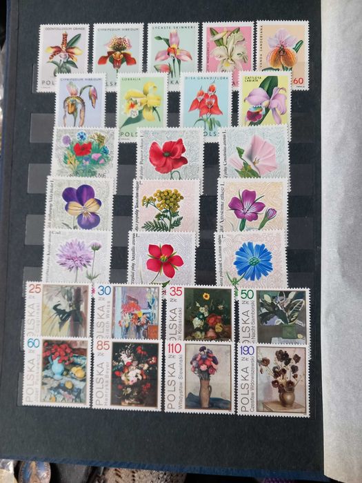 klaser ze znaczkami czyste