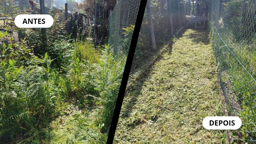 Serviços de Jardinagem e Limpeza de Terrenos