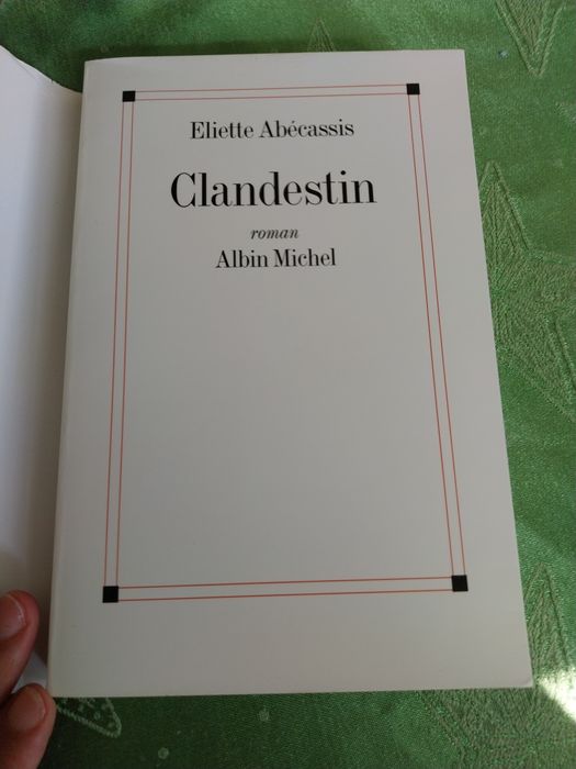 Clandestin. Portes incluídos