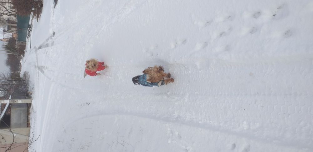 Йорк вязка от хорошего кабелька