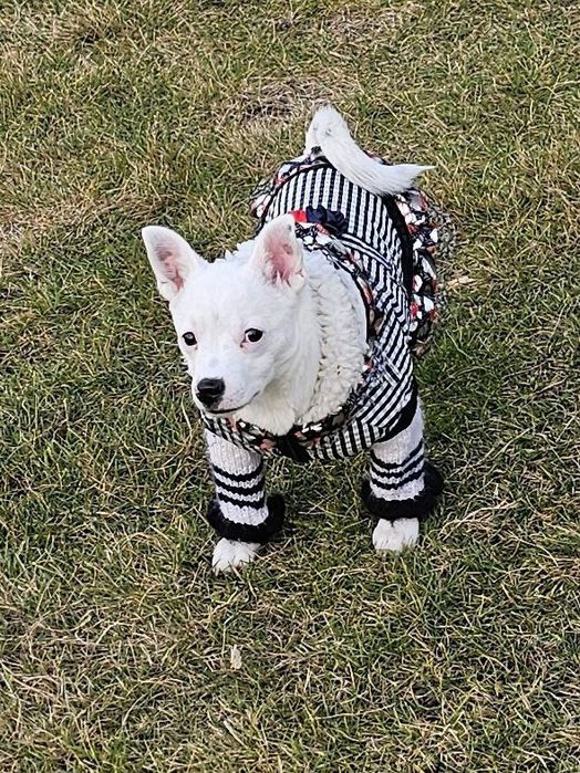 Маленькая девочка