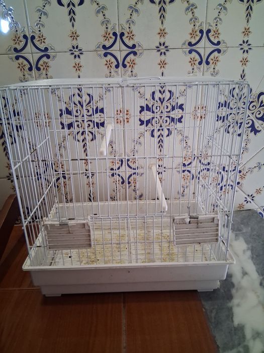 Gaiola  de piriquitos canarios roseicollis e 2 ninhos