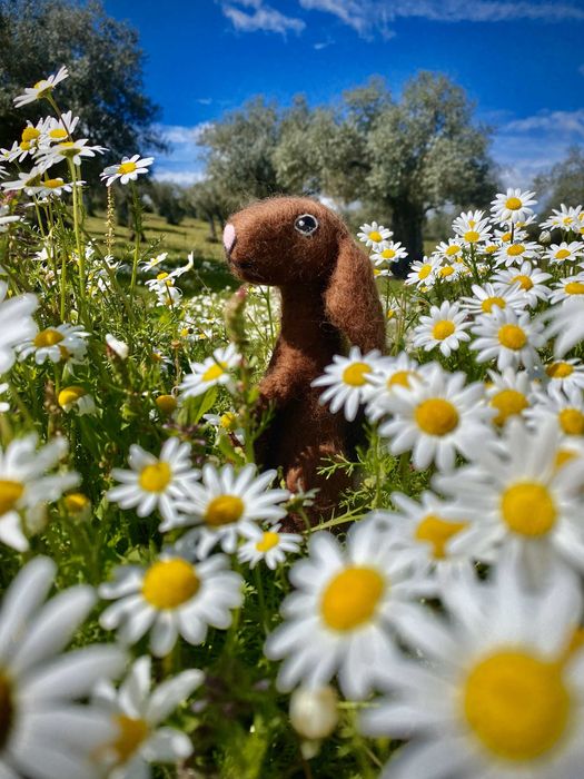 Coelho Artesanal de Feltro com Agulha – Ecológico e Único!