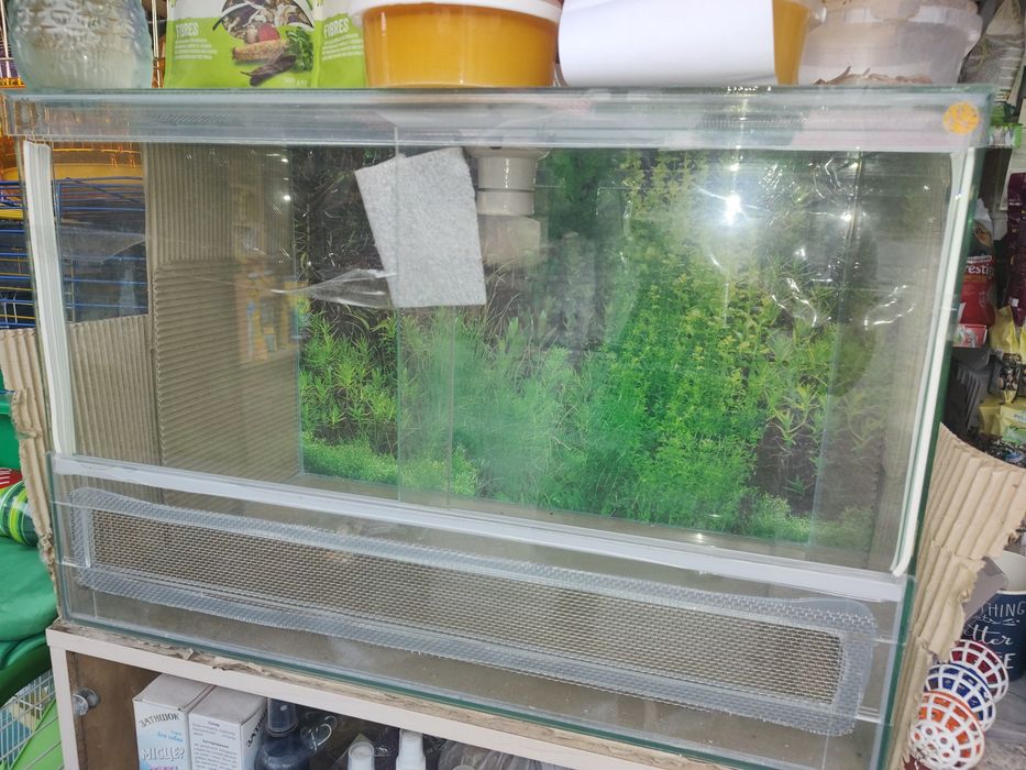 Терраріуми , корма для рептилій