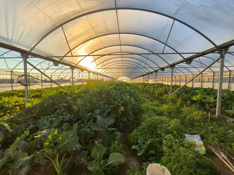 2 estufas agrícolas