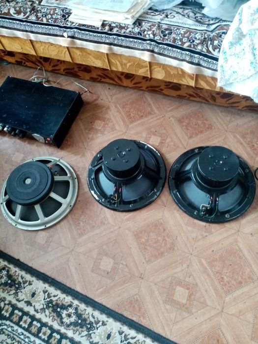 Кинаповский динамик Луганец