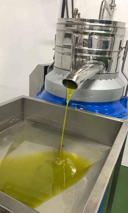 venda de Azeite transmontano em Lisboa