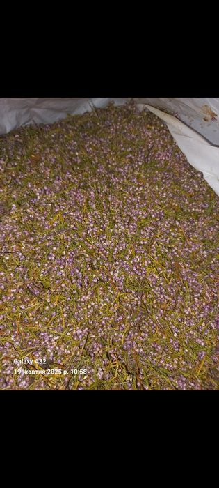 Чай з Вересом...