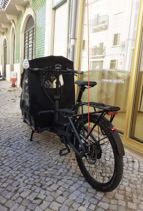 Riese & Müller Load 75 Vario - bicicleta de carga elétrica