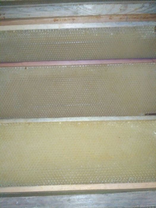 Продам суш (рамки) 100 шт.