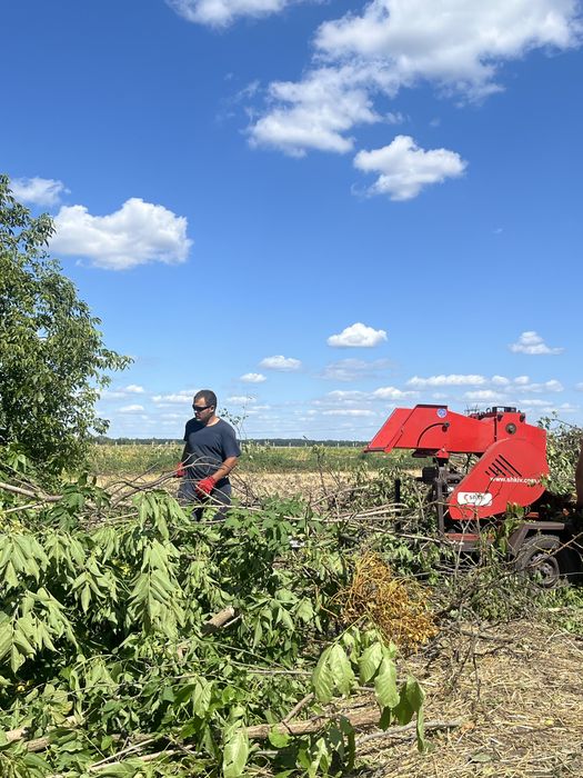 Косіння трави, зрізання дерев та розчистка ділянок