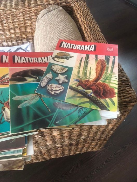Coleção Naturama antigo