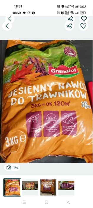 Grandiol nawóz jesienny do trawników 3kg