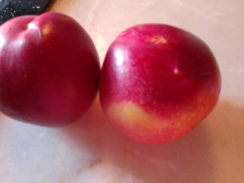 O Último Bandeirante-Pedro Pinto-1ediçaoC/dedicato8E-Pessegos5EDesde2E