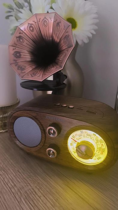 Radio Vintage bluetooth e pen