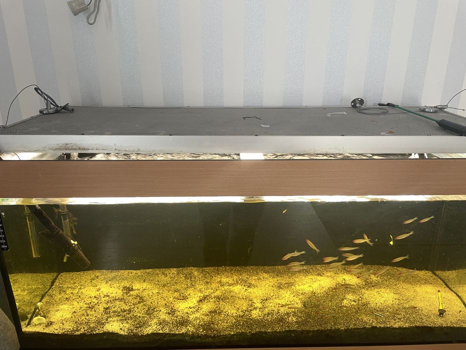 Аквариум juwel 240 л