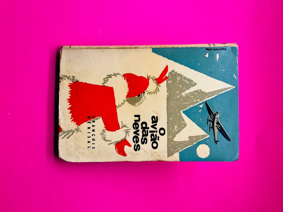 O avião das neves - François Bérsial