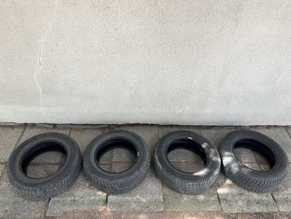 Opony zimowe Dębica Frigo 185/65 R14