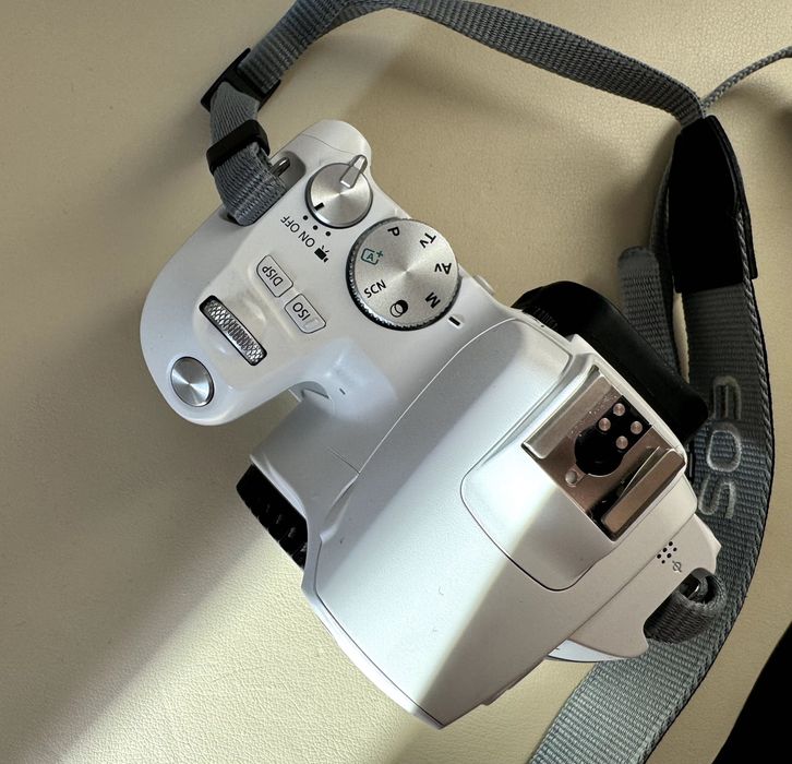 Камера Canon EOS 250D +EF-S 18-55mm f/4-5.6 IS STM +EF 50mm f/1.8 STM