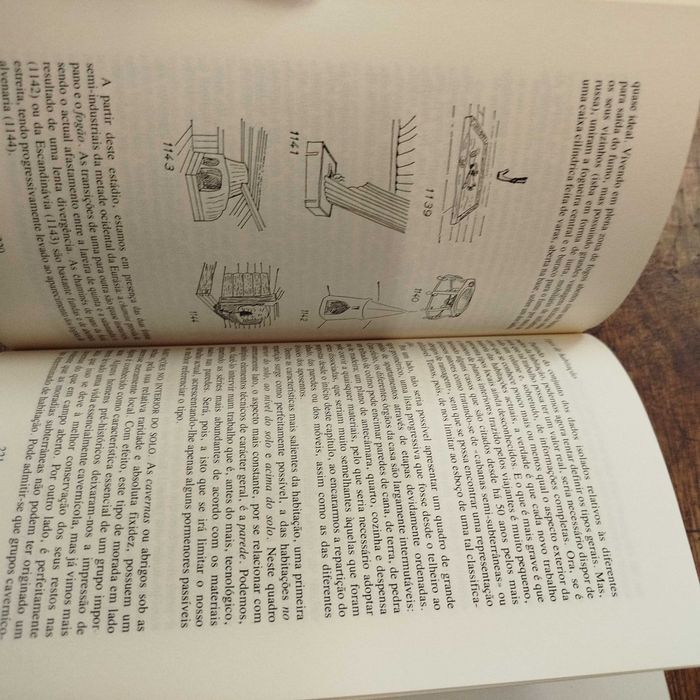 Evolução e Técnicas 2 vols - André Leroi-Gourhan