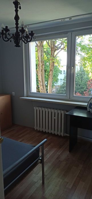 Zdjęcie 8