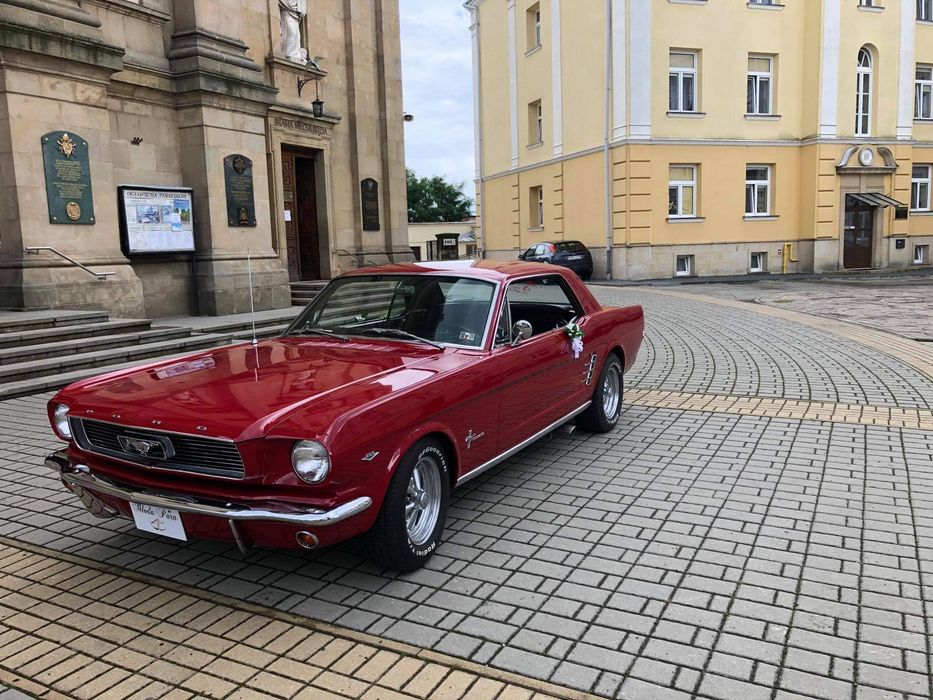 Zabytkowe samochody do ślubu : FORD MUSTANG,CADILLAC,Radiowóz, Fiat