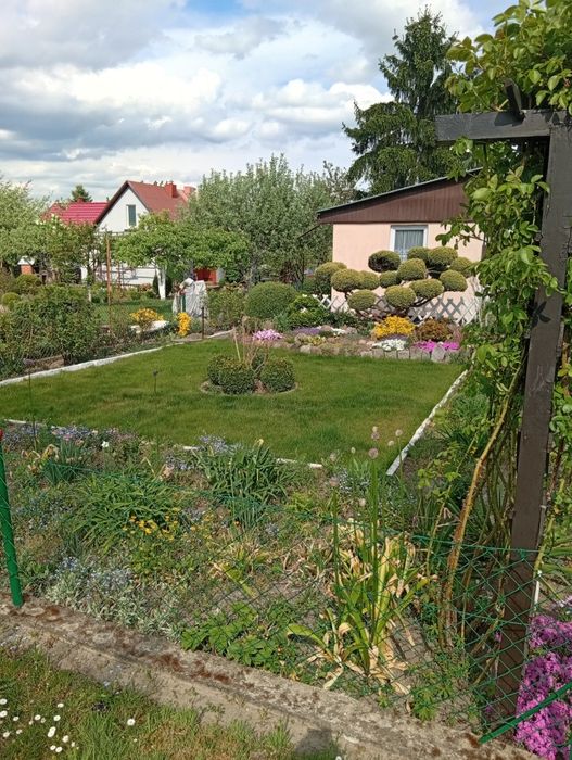 Działka ogrodzona Lubin
